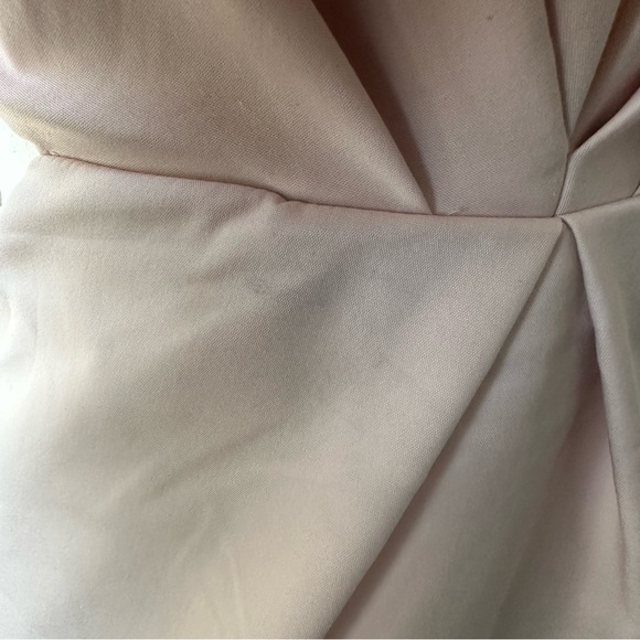 NWT Tobi Into The Night Strapless Dress in Blush - Picture 10 of 10